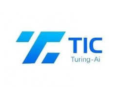 香港的TIC(Turing-Ai)为什么现在这么火