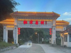 寻访红色足迹，焕发新生活力：欢迎您来杜徐岙村