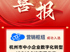 LTD营销枢纽（乐通达）被遴选为杭州市中小企业数字化转型服务商