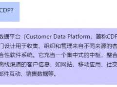 CDP洞察|营销枢纽赋能独立站用户留存，实现业务自然增长