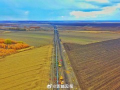 抖音电商新疆包邮日均订单量超百万
