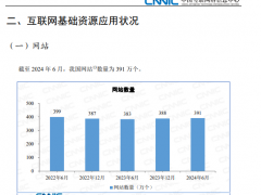 网站新浪潮：AI时代下我国独立站增长8万