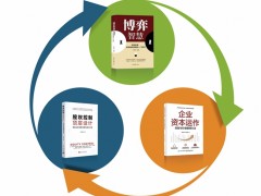 王登举著作三部曲：纵横股权与企业治理增长