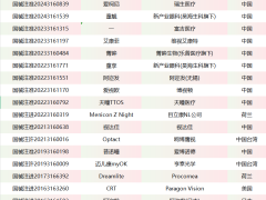 国产OK镜品牌怎么选择,个性化定制成竞争焦点