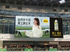 认养一头牛官宣演员赵丽颖成为品牌代言人