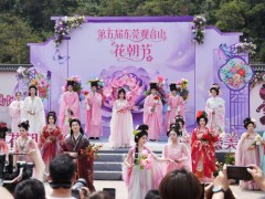 东莞观音山花朝节浪漫开